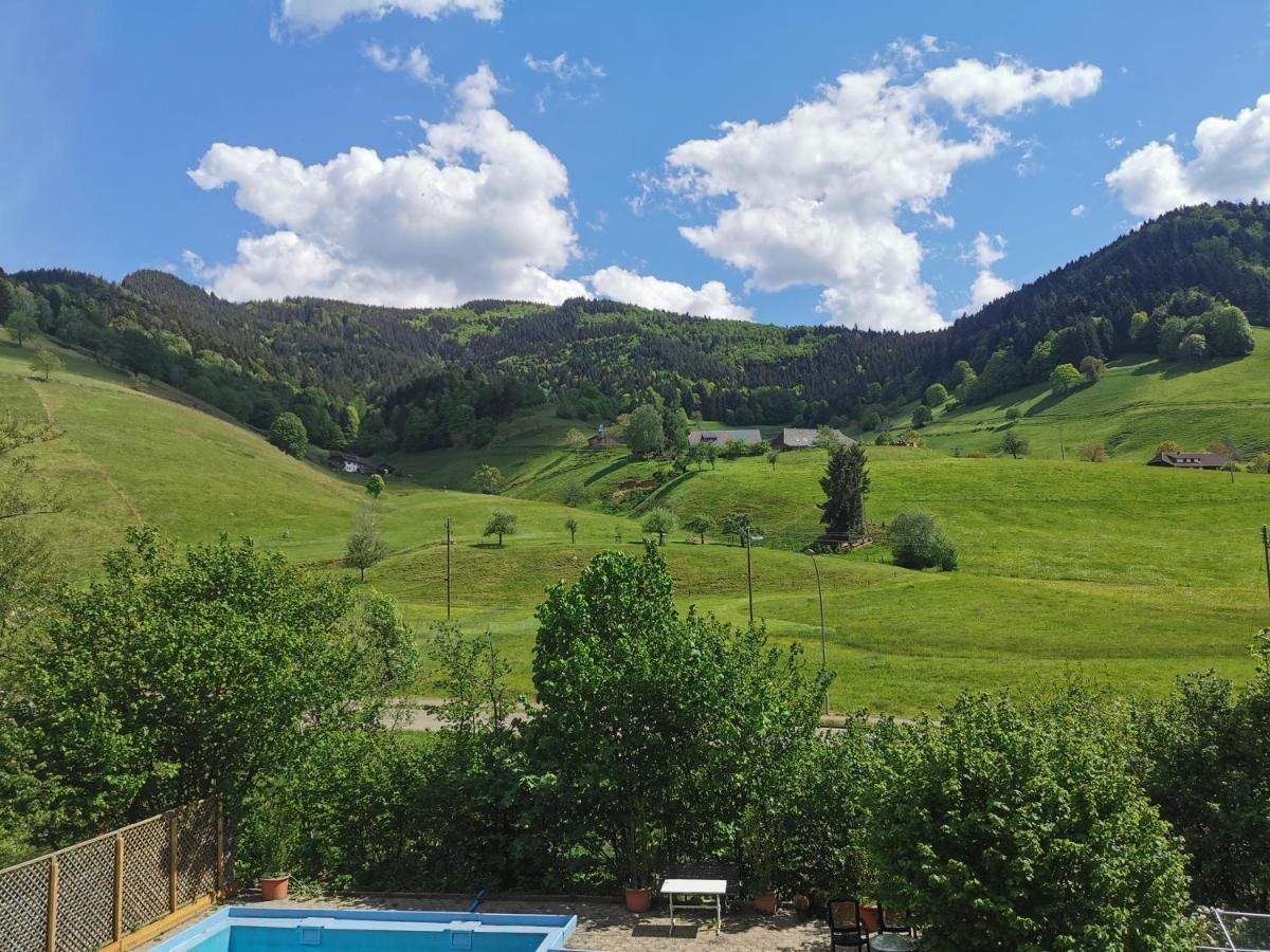 Ferienwohnung Vogelsang Im Schwarzwald Münstertal Eksteriør bilde