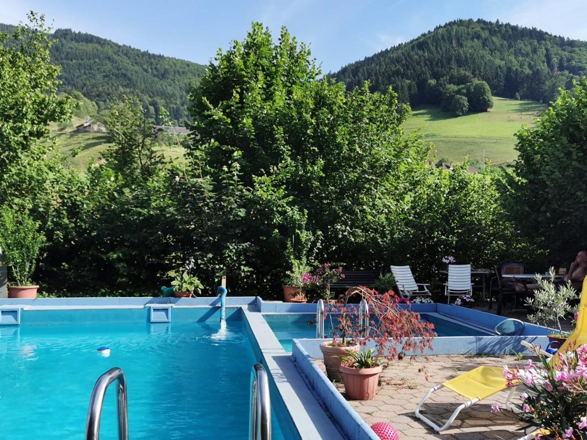 Ferienwohnung Vogelsang Im Schwarzwald Münstertal Eksteriør bilde