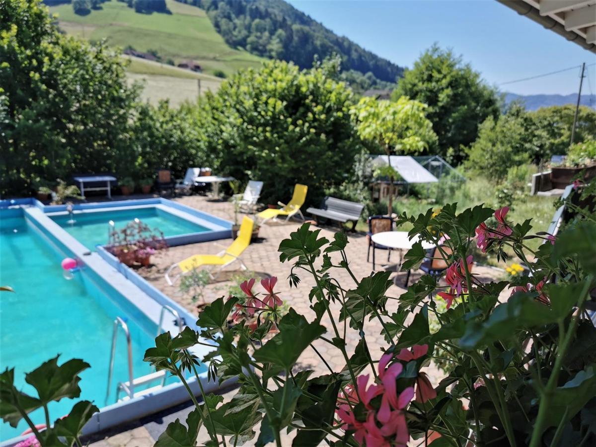 Ferienwohnung Vogelsang Im Schwarzwald Münstertal Eksteriør bilde