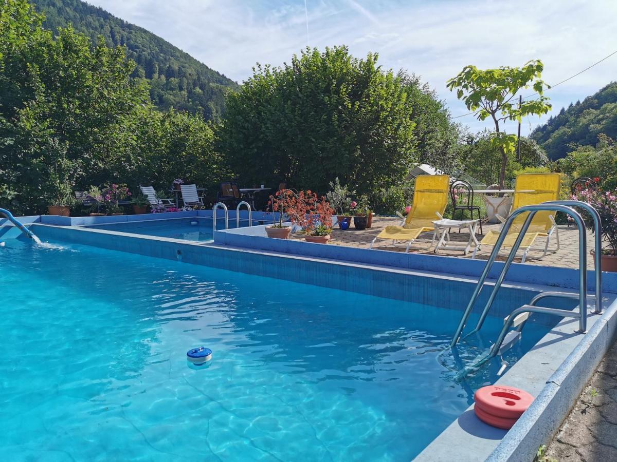 Ferienwohnung Vogelsang Im Schwarzwald Münstertal Eksteriør bilde