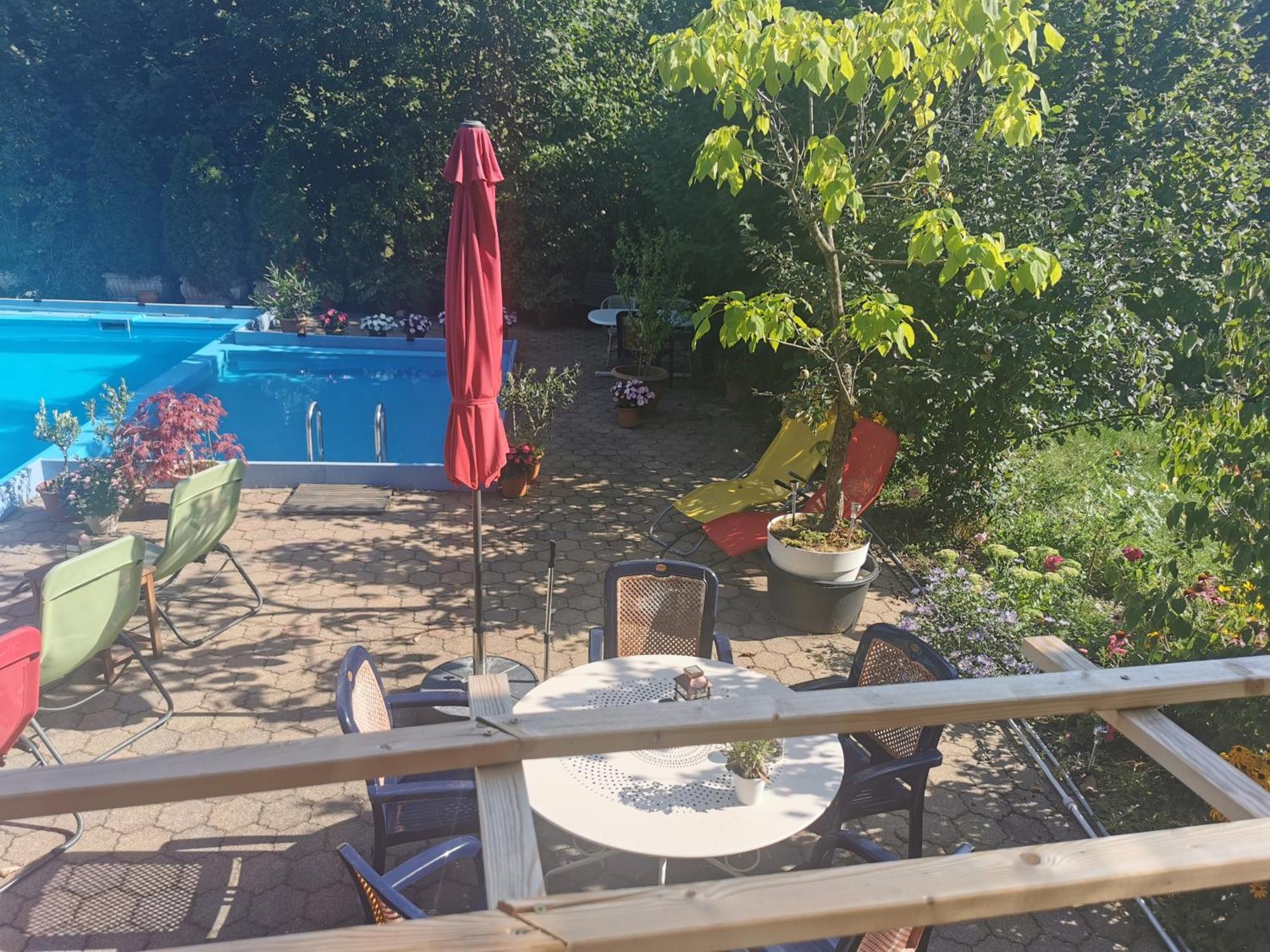 Ferienwohnung Vogelsang Im Schwarzwald Münstertal Eksteriør bilde