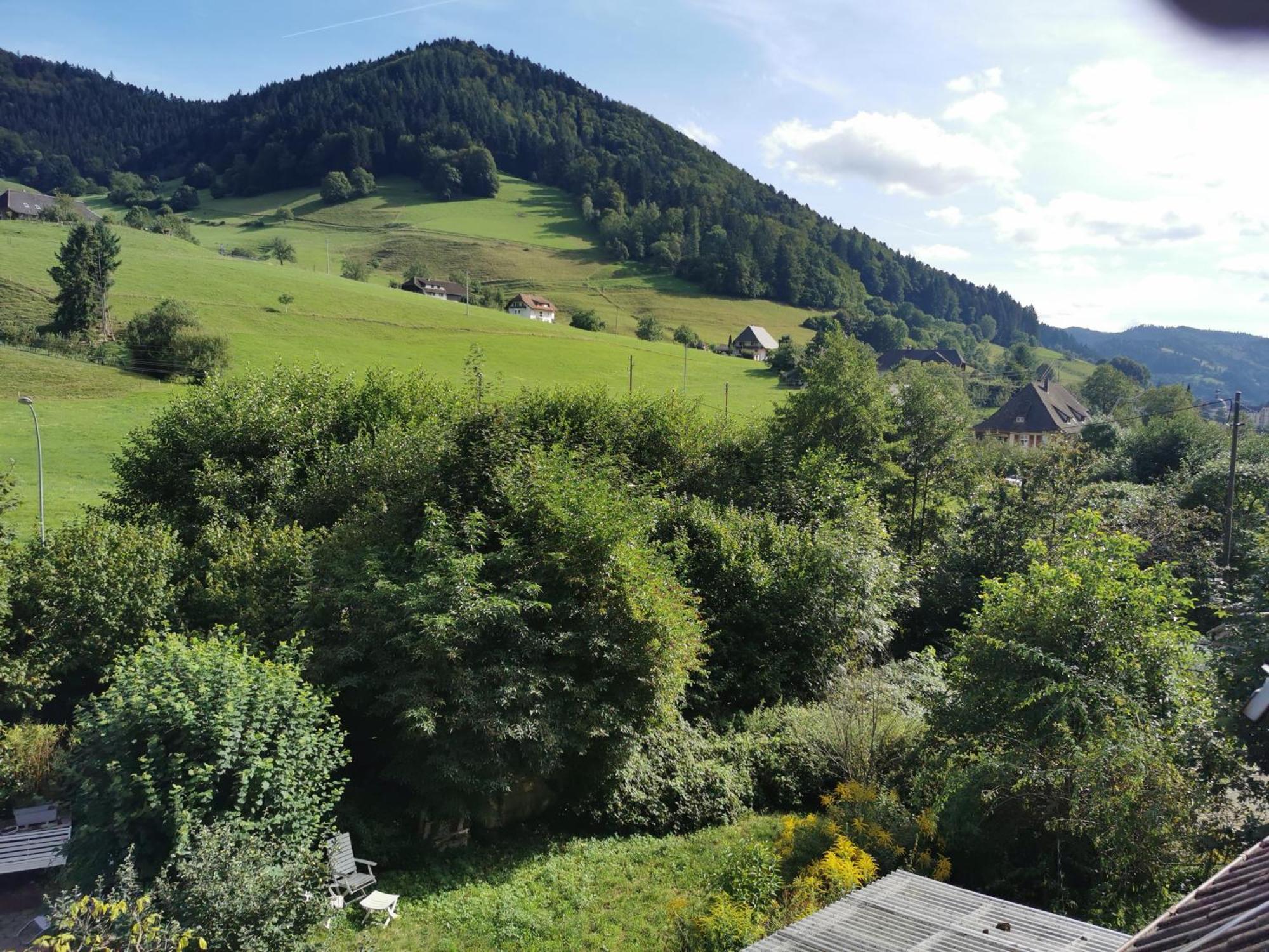 Ferienwohnung Vogelsang Im Schwarzwald Münstertal Eksteriør bilde